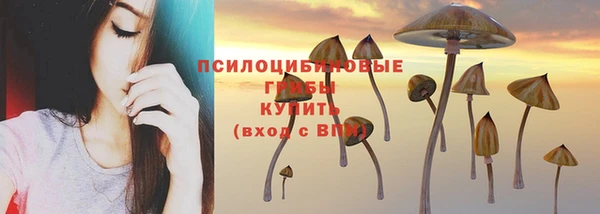 трава Арсеньев