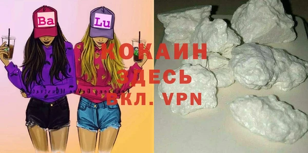 шишки Армянск