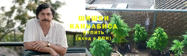 ешки Аркадак