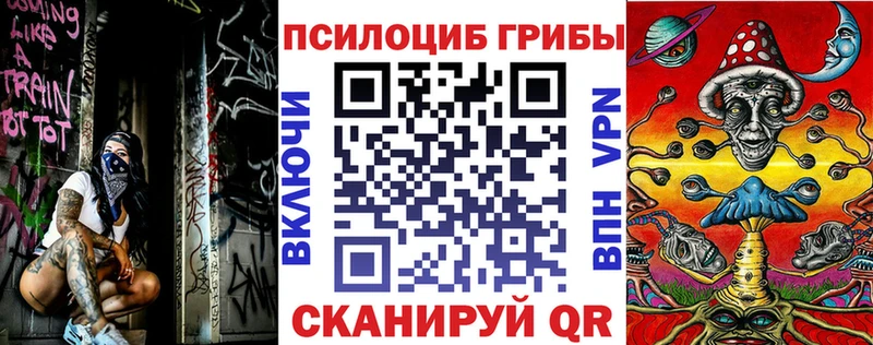 как найти наркотики  Каргат  Галлюциногенные грибы прущие грибы 